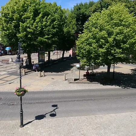 Goscinne Anis ウストカ